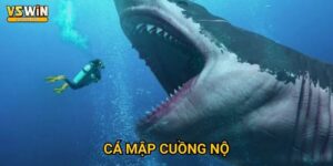 Cá Mập Cuồng Nộ Vswin - Thử thách dũng khí