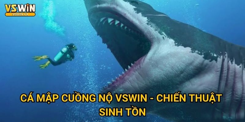 Cá Mập Cuồng Nộ Vswin - Thử thách dũng khí 3 Cá Mập Cuồng Nộ Vswin - Chiến thuật sinh tồn