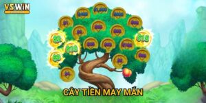 Cây Tiền May Mắn Vswin - Hái quả ngọt thành công