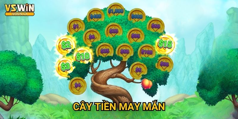 Cây Tiền May Mắn Vswin - Hái quả ngọt thành công 1 Cây Tiền May Mắn Vswin - Hái quả ngọt thành công